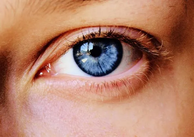 Faszination dunkelblaue Augen – selten und ausdrucksstark